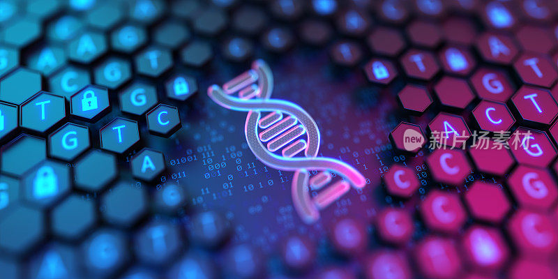 六边形外壳，有测序ATGC和发光的DNA标记。双螺旋结构。核酸序列。遗传研究。将基因组代码转换为数字形式。3 d演示。